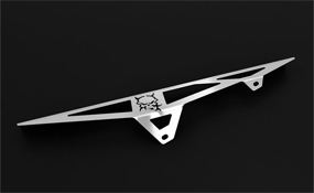 BMW F800 R 2009~20 SKULL Zieger Motorcycle Chain Guard